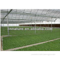 clear PC sheet used for greenhouse